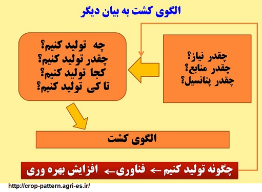 الگوی کشت