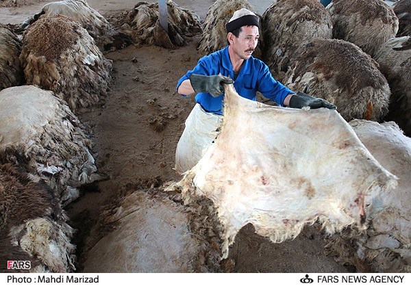 گذر «پوست» کمتر به همدان می‌افتد