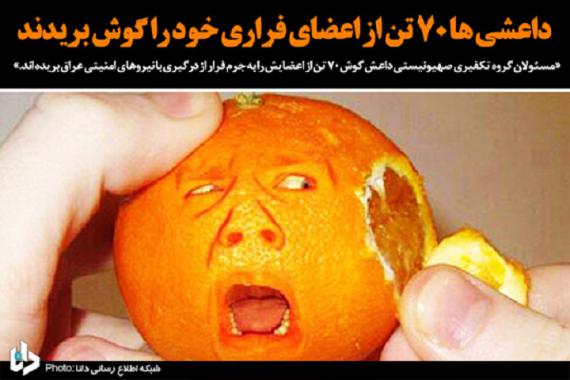 عکس‌نوشت/داعشی‌ها به جان خود افتادند