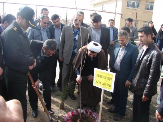 درختکاری در کبودراهنگ / گزارش تصویری