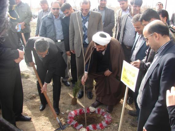 درختکاری در کبودراهنگ / گزارش تصویری