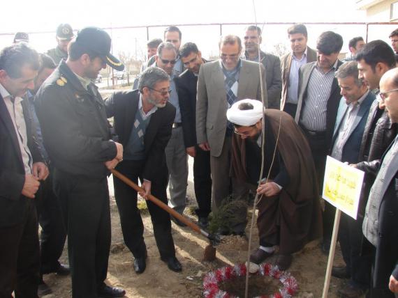 درختکاری در کبودراهنگ / گزارش تصویری