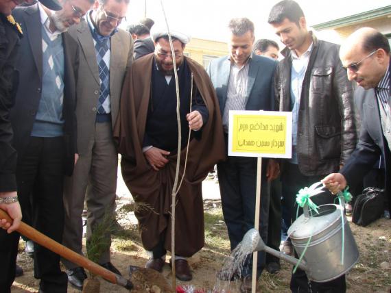 درختکاری در کبودراهنگ / گزارش تصویری