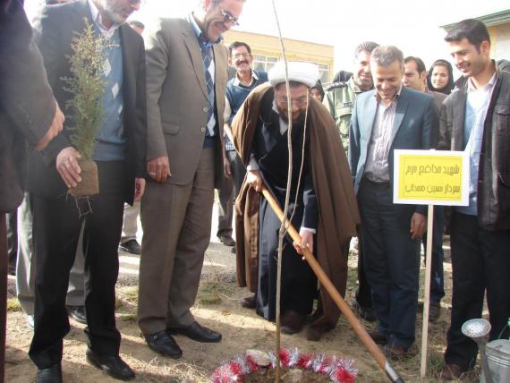 درختکاری در کبودراهنگ / گزارش تصویری