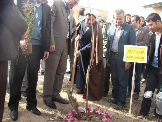 درختکاری در کبودراهنگ / گزارش تصویری