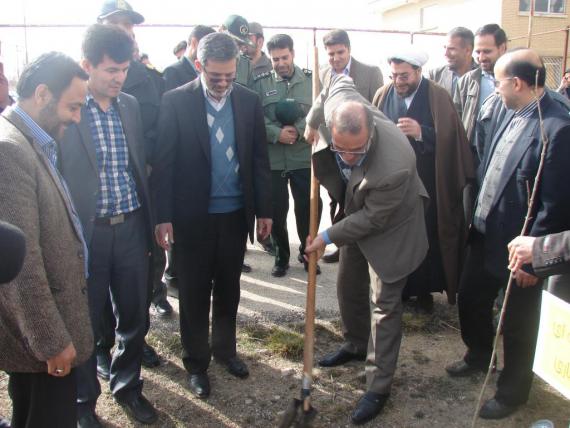 درختکاری در کبودراهنگ / گزارش تصویری