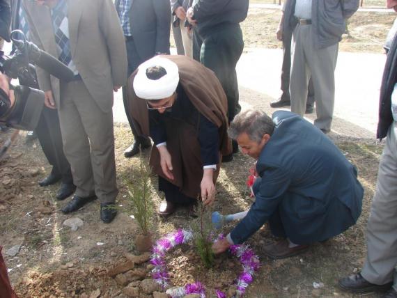 درختکاری در کبودراهنگ / گزارش تصویری