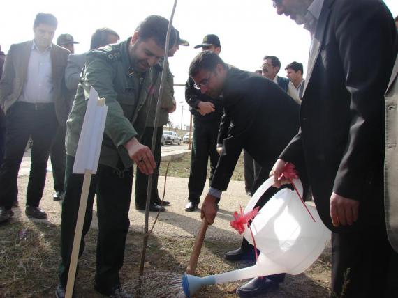 درختکاری در کبودراهنگ / گزارش تصویری