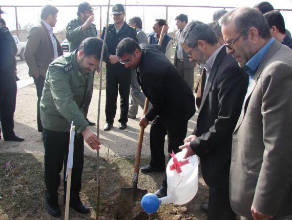 درختکاری در کبودراهنگ / گزارش تصویری