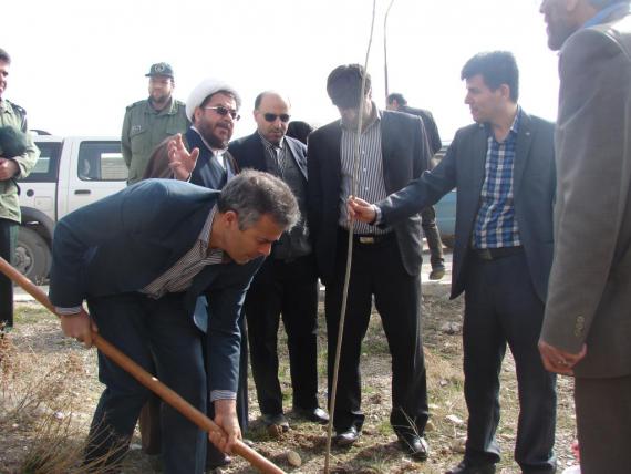 درختکاری در کبودراهنگ / گزارش تصویری