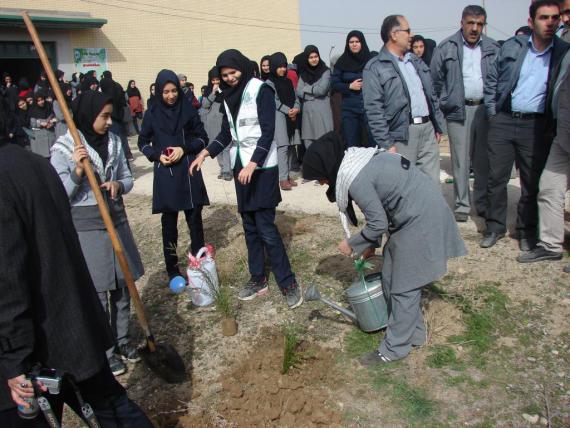 درختکاری در کبودراهنگ / گزارش تصویری