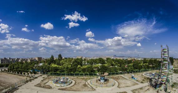 کبودراهنگ در قاب تصویر / گزارش تصویری
