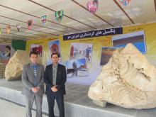 موزه فسیل های 20 میلیون ساله شیرین سوآماده بازدید علاقه مندان شد