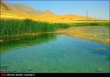 کم‌آبی، تنوع پرندگان تالاب شیرین‌سو را کاهش داد