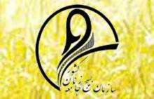 حجاب و عفاف؛ برای حفظ کرامت زن مسلمان است
