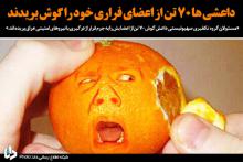 عکس‌نوشت/داعشی‌ها به جان خود افتادند