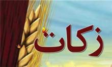 جمع‌آوری بیش از 8 میلیارد ریال زکات در کبودراهنگ
