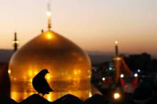  مسلمان شدن یک آلمانی در حرم مطهر رضوی