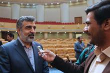  آغاز عملیات ساخت دو نیروگاه جدید اتمی در بوشهر پس از بررسی دو نكته فنی