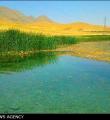 کم‌آبی، تنوع پرندگان تالاب شیرین‌سو را کاهش داد