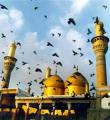تولد امام جواد (ع) به روایت خواهرامام رضا(ع)/ روایتی از پاسخ‌های کوبنده امام در مناظرات/ عکسی قدیمی از حرم امام جواد(ع) / صوت: دست ما را هم بگیر