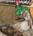 گزارش تصویری از نمایشگاه «کربلا تا شام»