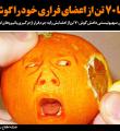 عکس‌نوشت/داعشی‌ها به جان خود افتادند