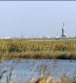 افزایش 200 هزار بشکه ای تولید میدان های نفتی مشترک با عراق تا 8 ماه آتی