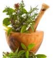 برگزاری دوره آموزشی استاندارد طب سنتی در کبودراهنگ
