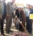 درختکاری در کبودراهنگ / گزارش تصویری