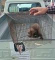  پناه خدنگ به یک منزل مسکونی در همدان